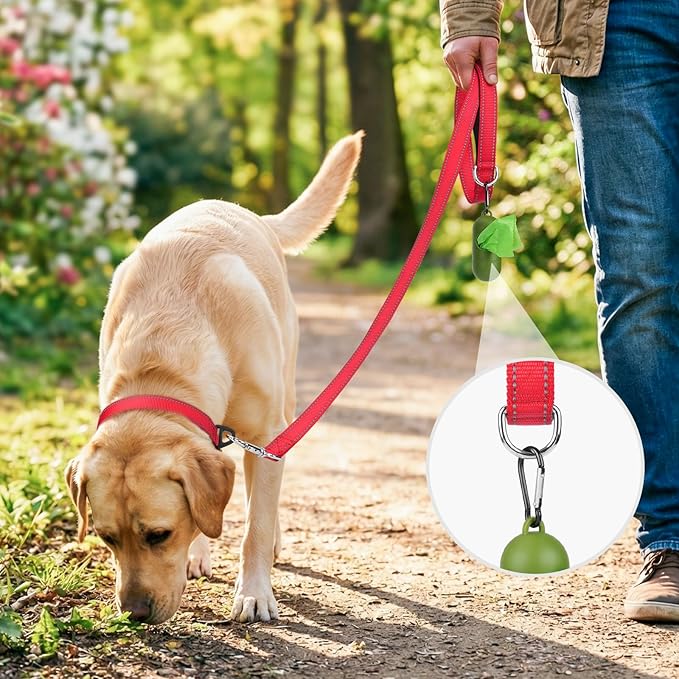 Joytale Dog Leash, 6 FT Double-Sided Reflective, Padded Handle Nylon Heavy Duty Leashes for Medium & Large Dogs Walking, Red