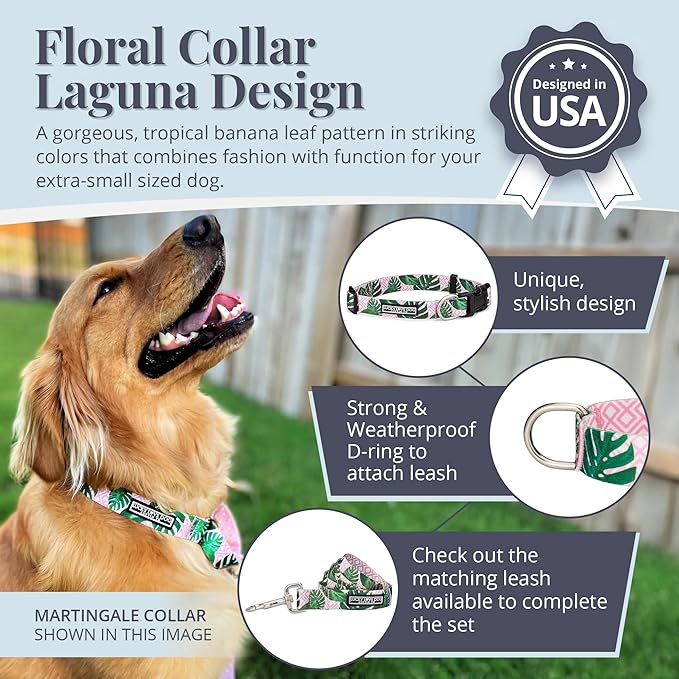 Lucky Love Dog - Adjustable Dog Collar with Easy Click Buckle for Small Ones, Durable, & Comfortable for Male & Female Dogs, Pet Collar for Puppies & Adult Dogs - Laguna, XS