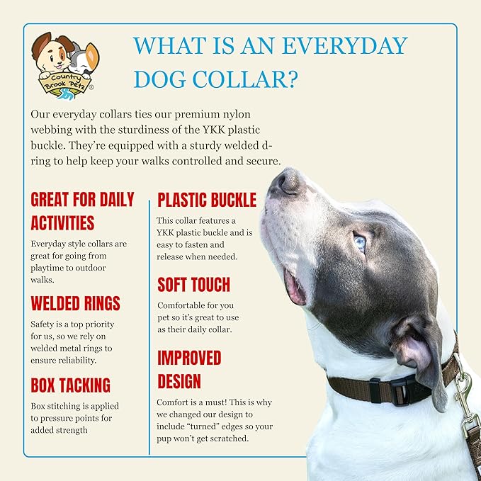 Country Brook Petz - Everyday Nylon Dog Collar for Large, Medium, and Small Dogs and Puppies - for Everyday Use in 10+ Warm Colors (Small, 3/4 Inch Wide, Brown)