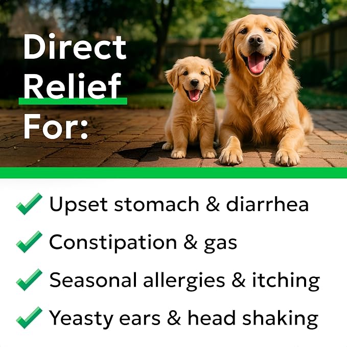 Bark&Spark Vet Strength Dog Probiotics Chews - 60 Billion CFU per jar - Digestive Enzymes for Dogs Gut Health - Chewable Supplement for Diarrhea, Gas, Constipation, Upset Stomach Relief (120 Ct)