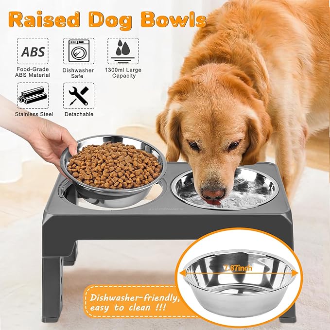 URPOWER Raised Dog Bowls 4 Height Adjustable Elevated Bowl Stand with Stainless Steel Water Bowl Non-Slip Dog Food Bowls Stand for Small Medium Large Dogs and Pets
