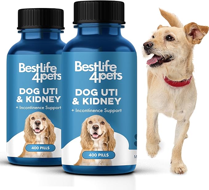 Dog UTI Treatment & Kidney Health Formula – Natural Dog Urinary Tract Supplements to Manage Urine Frequency & Leaks – Bladder Control Support for Urinary Incontinence & Renal Health – 2 Pack