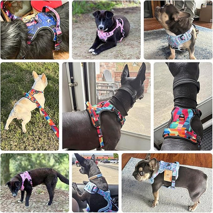BEAUTYZOO No Pull Dog Harness and Leash Set for Small Dogs, Adjustable Dog Vest Harnesses with 2 Metal Leash Clips, Reflective Oxford No Choke Escape Proof Step in Pet Vest with Handle, Purple S
