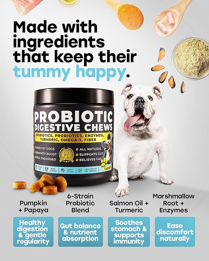 Probiotics for Dogs – Gut Health Support for Less Gas, Better Digestion & Regular Stools – Soft Beef Chews with Digestive Enzymes, Prebiotics & Fiber – 140 Count