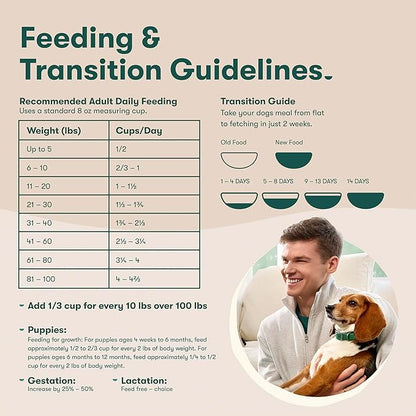 Jinx Premium Dry Dog Food for Senior Dogs - Real Chicken, Brown Rice & Sweet Potato Kibble with Antioxidants for Immune Support & Whole Grains for Digestive Support - No Fillers - 11.5lb