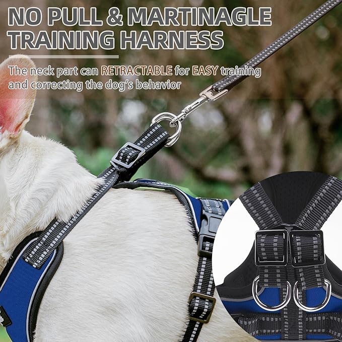 PUPTECK Dog Harness and Leash Set Small Sized, Adjustable Reflective Escape Proof Puppy Vest, No Pull Walking Harness Easy Control
