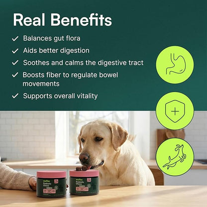 Wuffes Daily Probiotic for Dogs - Supports Digestive Health, Gut Balance, and Immune System - with Prebiotics, Marshmallow Root, and Pumpkin Powder (120 Chews (Pack of 2))