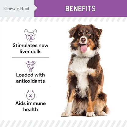 Milk Thistle for Dogs Liver Support - 4 oz Liquid Milk Thistle Supplement for Kidney and Liver Support - with Wild Alaskan Salmon Oil and Moringa Oil - Made in USA