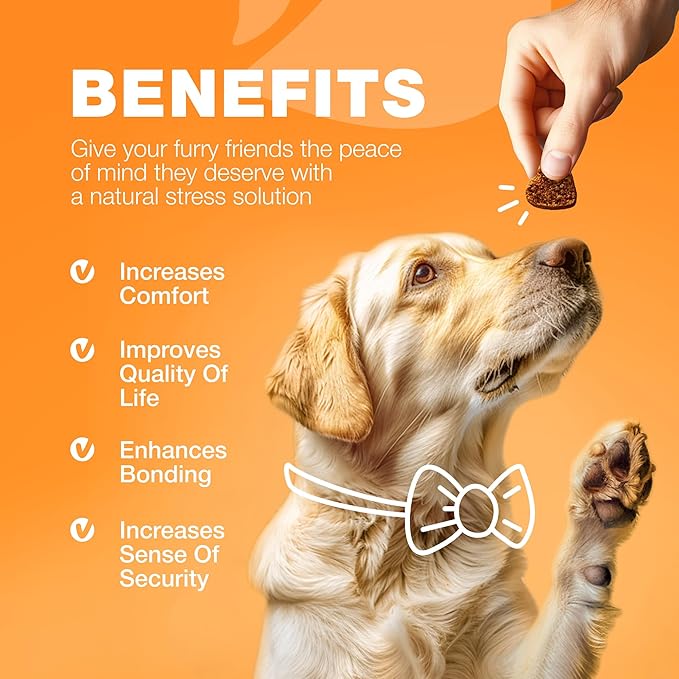 Dog Allergy Relief Chews - Itch Relief for Dogs - 180 Allergy Chews for Itching Skin with Probiotics, Colostrum, Salmon Oil - Allergy, Skin and Coat, Immune, Digestion Support Supplement - Hot Spots