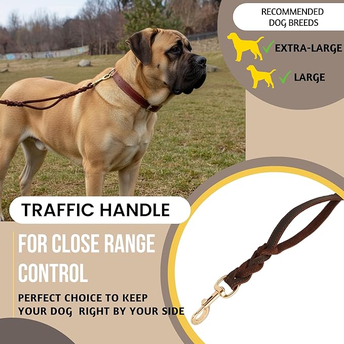 ADITYNA - Double Handle Leather Dog Leash 6ft - Heavy Duty Braided Dog Leash with Traffic Handle for Mastiff, Saint-Bernard, Rottweiler - Lead for Extra-Large Breeds (Brown, Two Handles 6 Foot x 1")