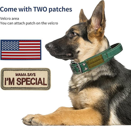 Annchwool Tactical Dog Collar for Medium and Large Dog,Adjustable Military Dog Collar with Soft Padded Handle,Heavy Duty Double Buckle Design(Green,XL)