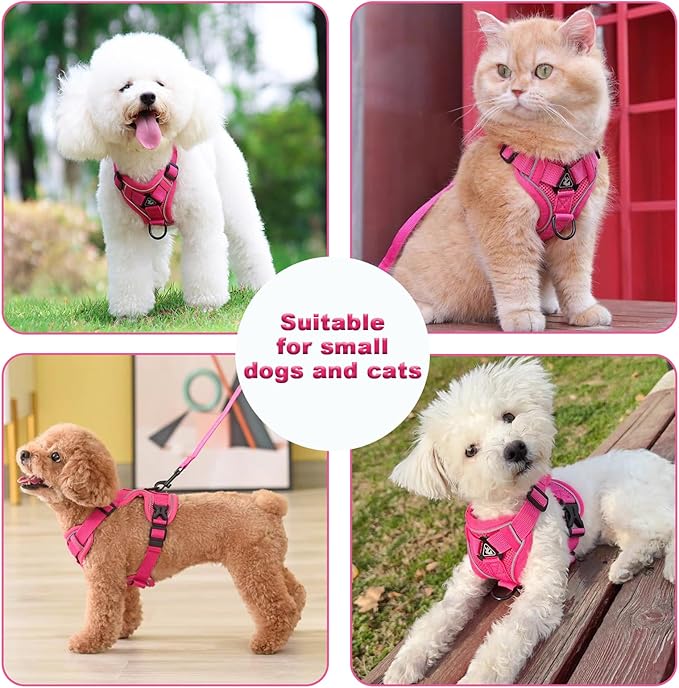SOLMOONY Small Dog Harness,Soft Mesh Puppy Harness and Leash Set,No Escape Cat Harnesses for Training Walking,Reflective Adjustable Puppy Vest for Small Medium Dogs, Cats (Hot Pink, M)