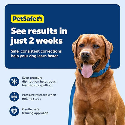 PetSafe Soft Point Training Collar - Comfortable No-Pull Adjustable Quick-Release Collar with Removable Soft Rubber Points - Pain-Free Training for Better Leash Manners - Large - Blue