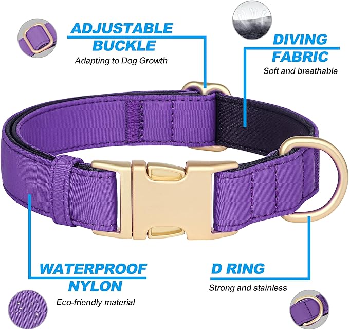 Didog Colorful Soft Padded Nylon Dog Collar & 5FT Dog Leash Set for Medium Dogs