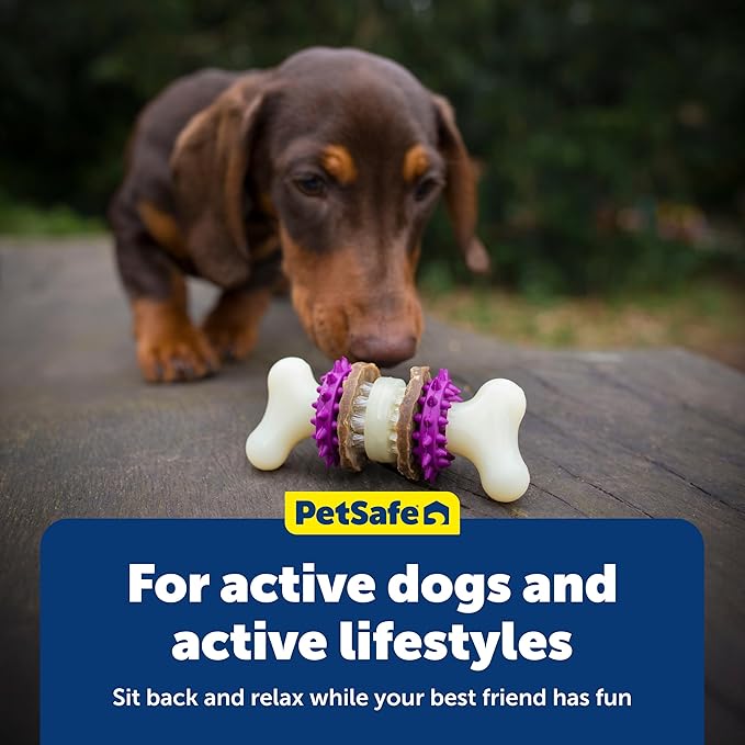 PetSafe Busy Buddy Bristle Bone Dog Chew Toy - Promotes Dental Health - Durable Nylon & Rubber - Treat Dispensing Design - Interactive Play - Refillable Treat Rings Included