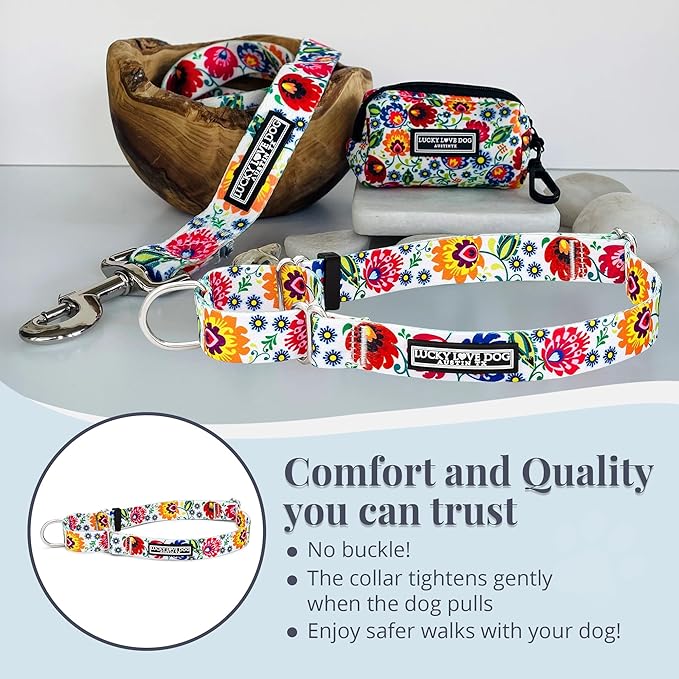 Lucky Love Dog Martingale Dog Collar - Adjustable, No-Slip, Durable, & Soft Webbing Collar for Male and Female Dogs Ideal for Training & Walking - Ladybird, Small
