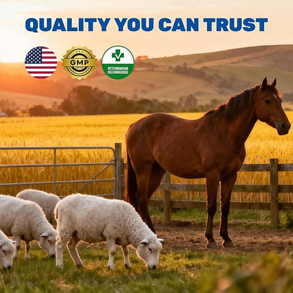 Dewormer for Horse, Poultry & More - Liquid Fenbendazole Dewormer for All Worms, Tapeworms, Roundworms, Hookworms, Pinworms & Giardia - Broad-Spectrum Wormers