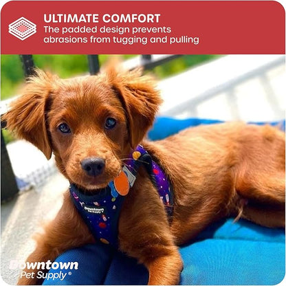 Downtown Pet Supply Step-in Dog Harness – No Pull, Adjustable Padded Mesh with Reflective Trim, Secure Buckle Strap – Comfortable & Breathable Small Dog Harness, Small, Space