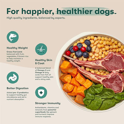 Jinx Premium Grain-Free Dry Dog Food, for All Lifestages - Grass-Fed Lamb, Sweet Potato & Carrot Dog Food with Superfoods for Immune Support & Probiotics for Digestive Support - No Fillers - 11.5lb