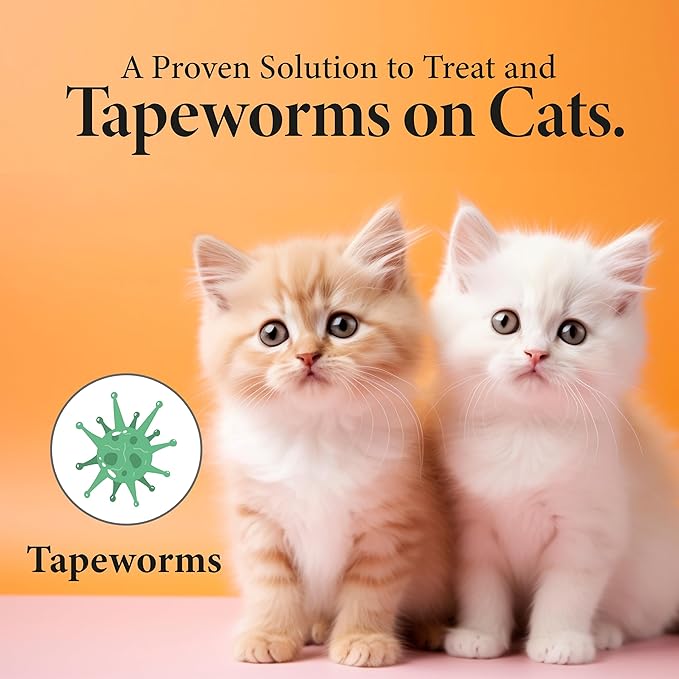 No More Worms in Cats and Kittens- Dewormer for Cats and Dewormer for Kittens - 60mls Chicken Flavour with 3ml Dropper