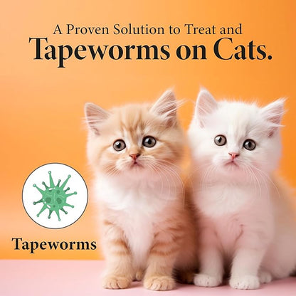 No More Worms in Cats and Kittens- Dewormer for Cats and Dewormer for Kittens - 60mls Chicken Flavour with 3ml Dropper