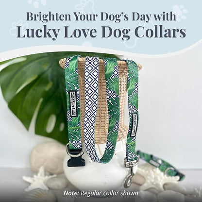 Lucky Love Dog Martingale Collar, Premium No Slip Martingale Collar for Large Boy Dogs, Great for Whippets, Greyhounds, and More (Large, Blue Laguna)