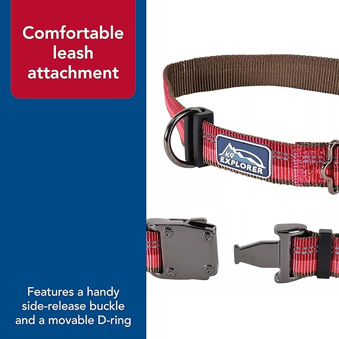 Coastal Pet K9 Explorer Reflective Adjustable Dog Collar - Comfortable Collar for the Outdoors - Durable, Lightweight Accessory with Side-Release Buckle - Berry, 5/8" x 8-12"