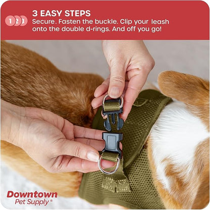 Downtown Pet Supply Step in Dog Harness for Teacup Dogs & Cats No Pull, XX-Small, Hunter Green - Adjustable Harness with Padded Mesh Fabric and Reflective Trim - Buckle Strap Harness for Dogs