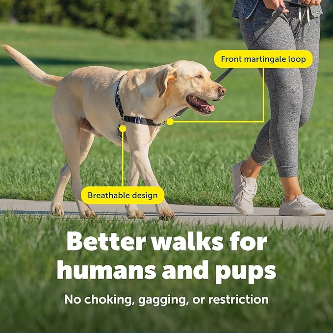 PetSafe Easy Walk Harness for Dogs - Pull-Free Walks - Patented Martingale Loop Design - Front Chest Leash Attachment - Comfort Straps - Breathable Harness Design - Large, Charcoal/Black