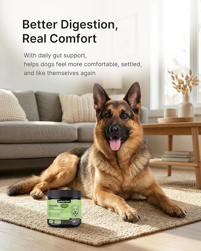 Probiotics for Dogs – Digestive & Gut Health Support, Dog Probiotic Chews with Spore-Forming Bacillus Coagulans, Multi-Strain Lactobacillus + Prebiotic Inulin, Chicken Flavor, 120 Soft Chews