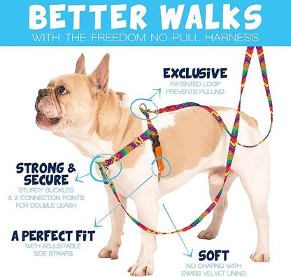 2 Hounds Design Freedom No Pull Dog Harness, Adjustable Harness, Easy Walking & Comfortable Control, Fits Small, Medium & Large Dogs, Solid Colors, Made in USA, 5/8" MD, Kelly Green