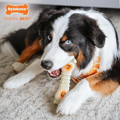 Nylabone Knuckle Bone Pop-In Treat Toy Power Chew Toy for Dogs, Interactive Treat Dispensing Enrichment Dog Toy, Long Lasting Chicken Flavor, Large Dogs - Up to 50 lbs