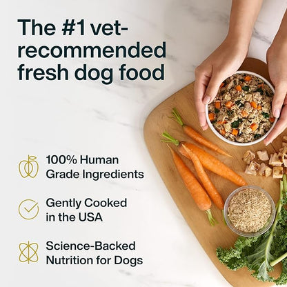 JustFoodForDogs JustFresh Wet Dog Food, Fresh Pet Meals and Toppers with No Preservatives, Resealable Package, Human Grade, Home-Cooked Chicken, 12 oz - 7 Pack