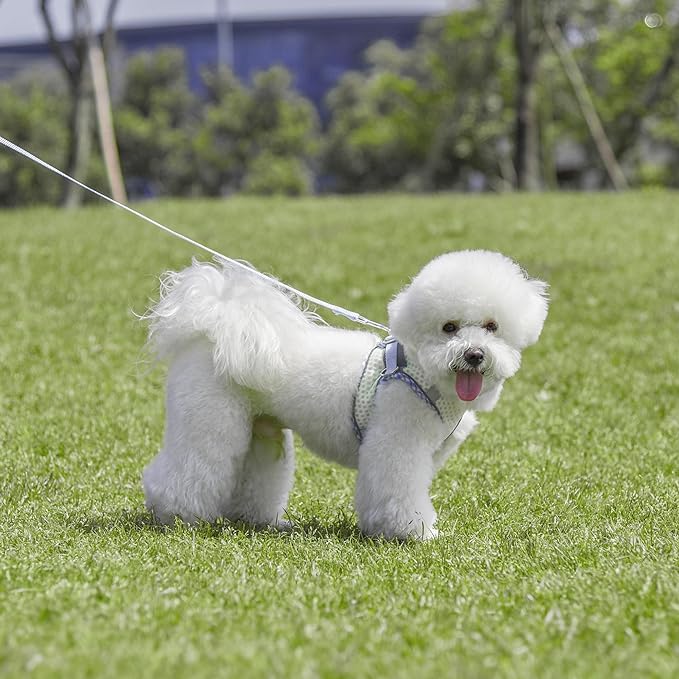 Summer Dog Harness and Leash Set, Soft Dog Vest Harness with Super Breathable Diamond Mesh, Reflective No-Pull Pet Harness for Outdoor Walking, Training for Small Dogs, Cats White XXS