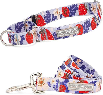 Lucky Love Dog Martingale Collar and Leash Set, Premium Fun Girl No Slip Collars, Strawberry Martingale Dog Collar and Leash Set, Great for Whippets, Greyhounds, and More (Sweet Berry, Small - Combo)