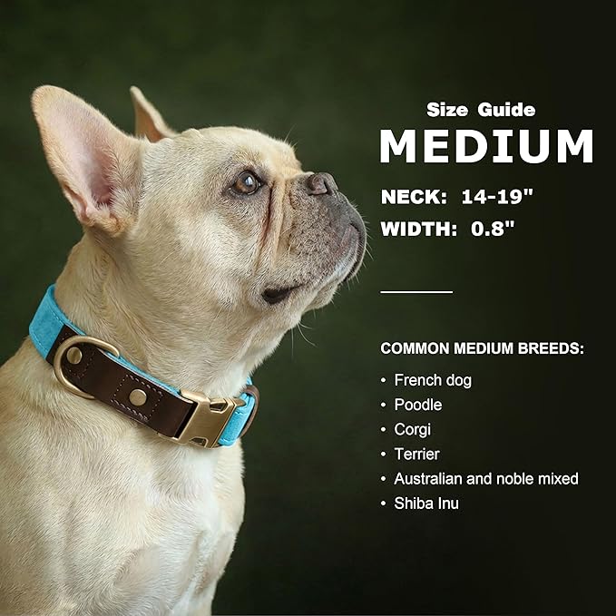 Didog Soft PU Leather Dog Collars for Medium Dogs,Classic Adjustable Dog Collars with Quick Release Metal Buckle,Easy Clean and Comfortable with Nylon Lining,Light Blue,M Neck 14-19"