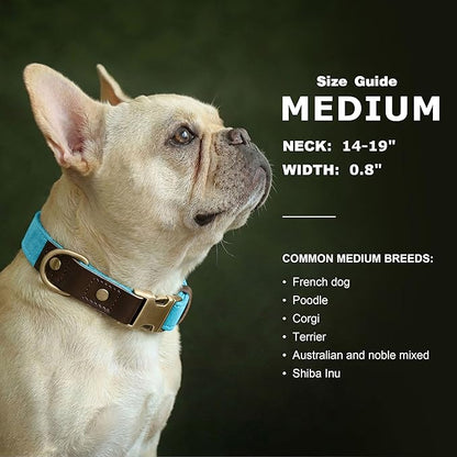 Didog Soft PU Leather Dog Collars for Medium Dogs,Classic Adjustable Dog Collars with Quick Release Metal Buckle,Easy Clean and Comfortable with Nylon Lining,Light Blue,M Neck 14-19"