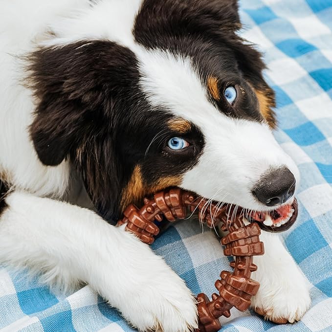Nylabone Textured Ring Power Chew Toy for Large Dogs, Durable Dog Toys for Aggressive Chewers, Strong Dog Chew Bones To Keep Them Busy, Flavor Medley, X-Large - 50+ lbs, 1 Count