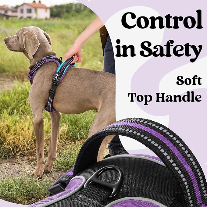 rabbitgoo Dog Harness Small Sized, No Pull Pet Harness with 3 Buckles, Adjustable Soft Padded Vest with Control Handle, Walking Reflective Pet Vest for Small Dogs, Black & Purple, S
