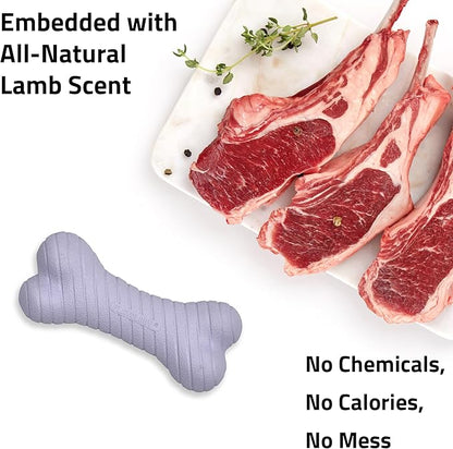 Playology Dog Toys | Dual Layer Bone Durable Chew Toy Bone for Dogs (Value 2-Pack) | Small Lamb Scented Toy - Easy to Clean and Made from Non Toxic Materials