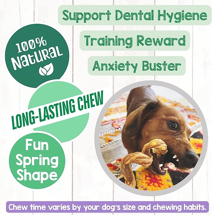Nature Gnaws Bully Stick Springs for Dogs 7-8" (6 Count) - Long Lasting for Aggressive Chewers - Natural Curly Beef Dog Chew Bones - Rawhide Free