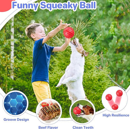 Indestructible Squeaky Dog Balls Puppy Toys, Interactive Dog Toys for Small Dogs, Puppy Chew Toys for Teething and Relax, Dog Chew Toy Balls Small Dog Toys for Small Breed, Outdoor Dog Toys