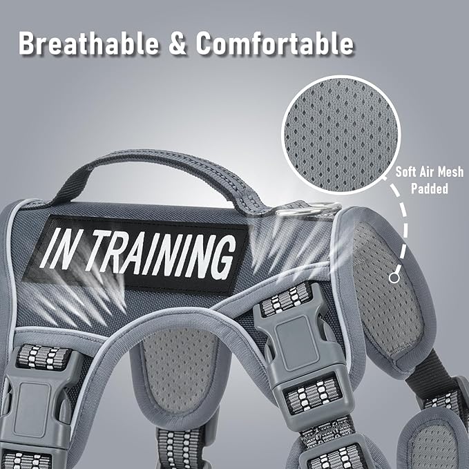 AUNZO Service Dog Vest Harness with 2 Velcro Patches, No Pull Dog Harness for Walking Training Hiking, Metal D-Rings Easy on/Off Neck Buckle Reflective Strips Soft Padded Handle, Gray