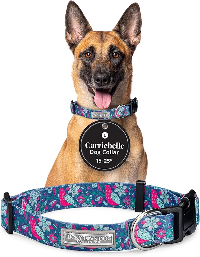 Lucky Love Dog - Adjustable Dog Collar with Easy Click Buckle for Large Dogs, Durable, & Comfortable for Male & Female Dogs, Pet Collar for Puppies & Adult Ones - Carriebelle, Large