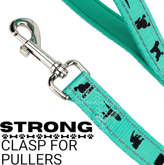 EcoBark Dog Leash - Soft & Reflective Comfort Leashes with Padded Handle - Strong Durable Heavy Duty - Training and Pulling for Small, Medium or Large Dogs (Turquoise)