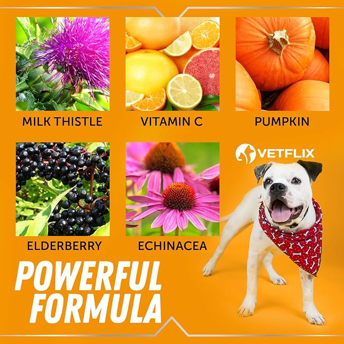 Allergy and Immune Drops for Dogs, Cats, Puppies and Kittens - Natural Supplement with Turmeric and Milk Thistle - Seasonal Allergy Relief and Immune Support - 2 Fl Oz
