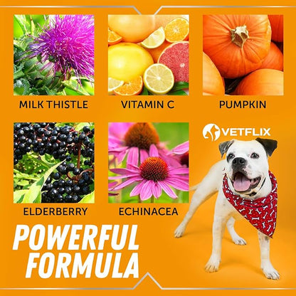 Allergy and Immune Drops for Dogs, Cats, Puppies and Kittens - Natural Supplement with Turmeric and Milk Thistle - Seasonal Allergy Relief and Immune Support - 2 Fl Oz