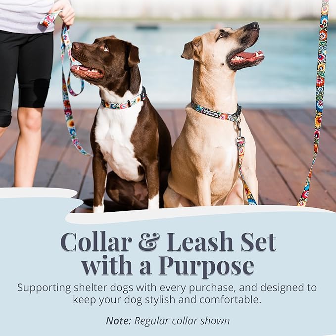Lucky Love Dog Martingale Collar and Leash Set, Premium No Slip Collar and Leash Set, Great for Whippets, Greyhounds, and More (Blackbird, Small - Combo)