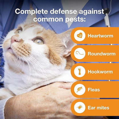 Advantage Multi for Cats 5-in-1 Heartworm Prevention | Kills Fleas & More | Cats 5.1-9 lbs. | 6-Month Supply