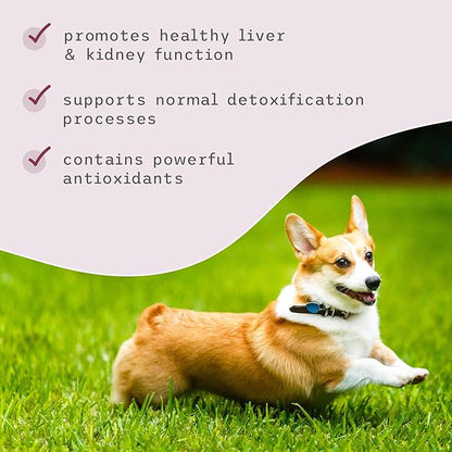 Bark & Whiskers Detox Support - Helps Support Healthy Liver & Kidney Function - Herbal Blend with Organic Milk Thistle & Green Tea - 1.8 oz